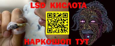 МДПВ Канаш