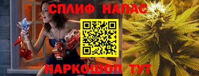 МДПВ Канаш