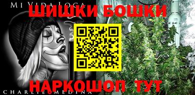 МДПВ Канаш